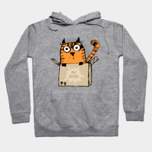 Ginger cat and box Hoodie